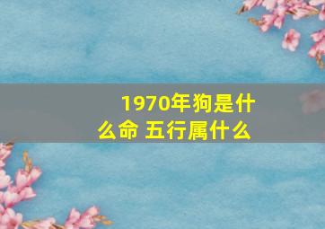 1970年狗是什么命 五行属什么